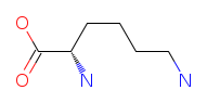 Structure of Lysine