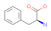 Structure of Phenylalanine