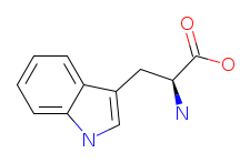 Structure of L-Tryptophan