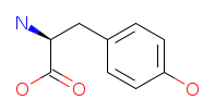 Structure of Tyrosine