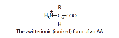 zwitterion of amino acids