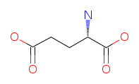 Structure of Glutamic Acid