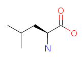 Structure of Leucine